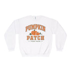 Pumpkin Patch Sweatshirt, Fall Crewneck, Farm Fresh Pumpkin Sweatshirt, Varsity Style Fall Shirt, Cozy Autumn Pullover