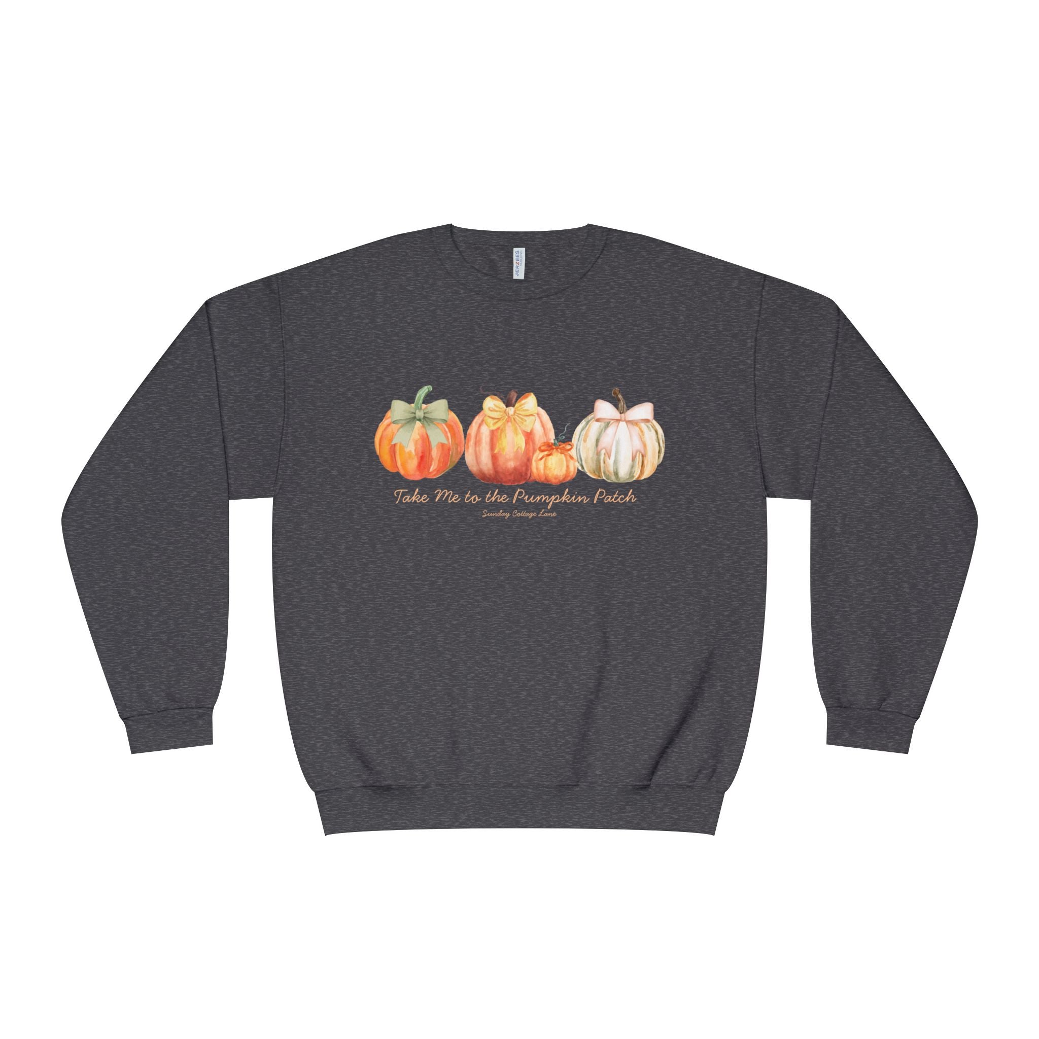 Take Me to the Pumpkin Patch Shirt, Fall Pumpkin Shirt, Autumn Shirt, Pumpkin Patch Sweatshirt, Cute Fall Shirt, Women’s Fall Gift