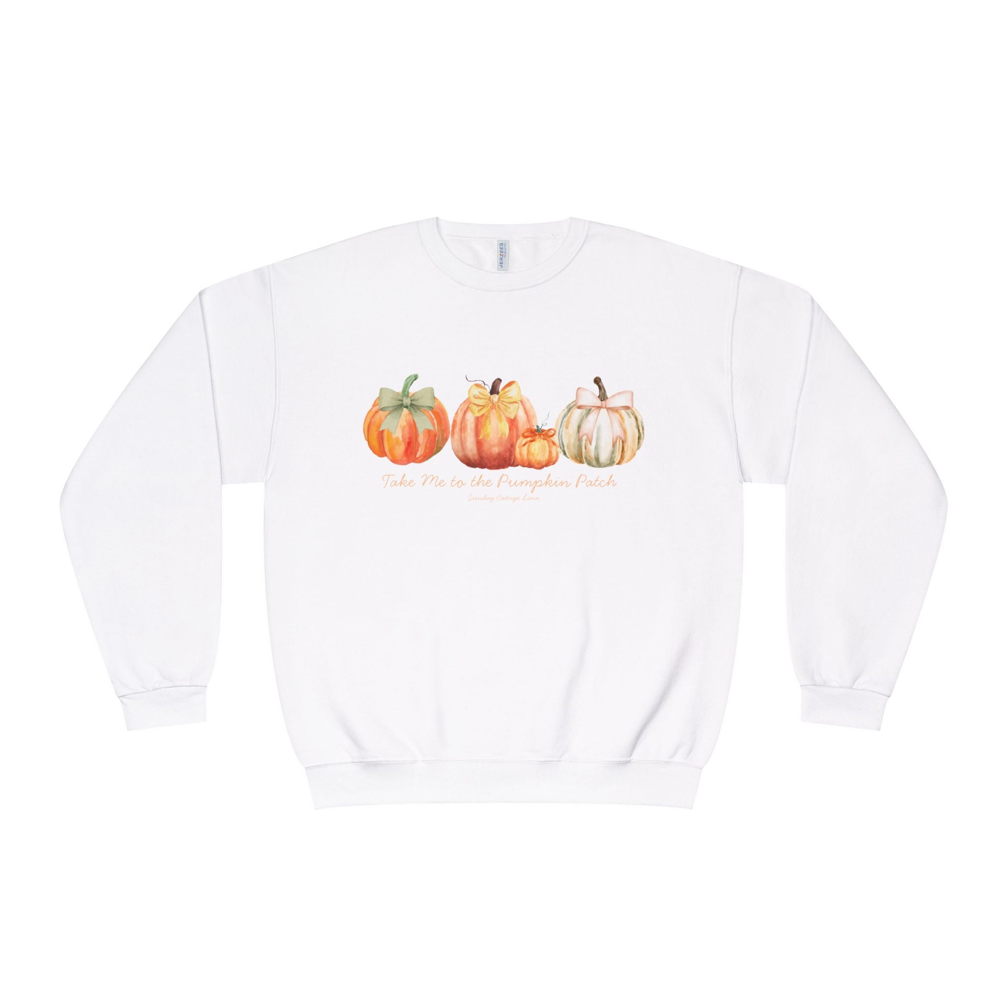 Take Me to the Pumpkin Patch Shirt, Fall Pumpkin Shirt, Autumn Shirt, Pumpkin Patch Sweatshirt, Cute Fall Shirt, Women’s Fall Gift